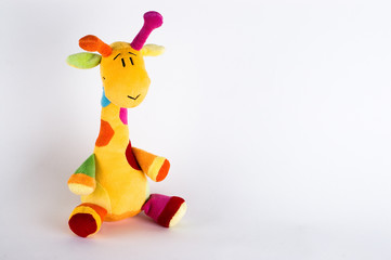 Colour giraffe on a white background