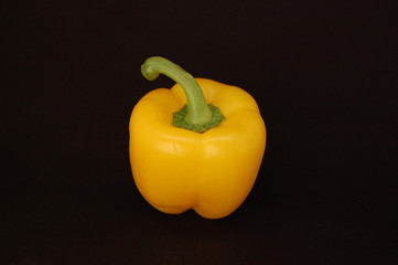 Paprika black VI