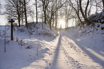 winterlicher Weg im Gegenlicht