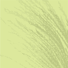 A beautiful floral background