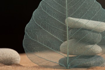 zen-like