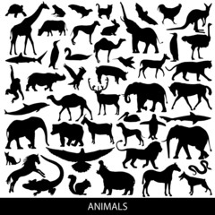 animals silhouettes