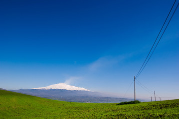 Fototapeta na wymiar green meadow on background volcano Etna