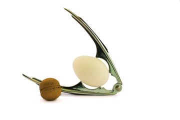 The fragile egg has exchanged a place with a firm walnut