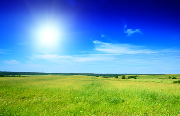 field of grass and perfect summer day