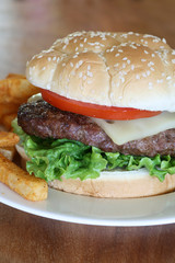 Hamburger and French Fries