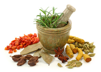 Mortar with fresh rosemary and dried spices © Elena Schweitzer