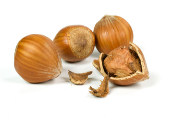 Nocciole rotte