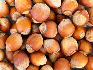hazelnut background