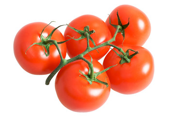 Bunch of fresh tomatoes