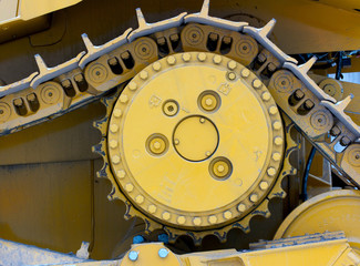Part of caterpillar © nikkytok