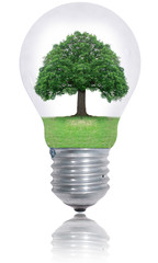 Protect environement