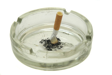 cigarettes in ash-tray close up isolated on a white background