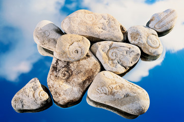 Motley stones
