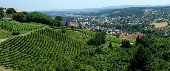 Schilcher Weinstraße Deutschlandsberg / Südsteiermark © ErnstPieber