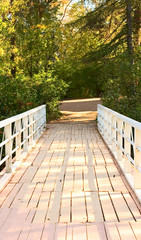 Park bridge background