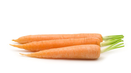 fresh three carrots on white background