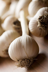fresh garlic background (shallow DOF)