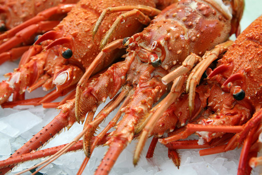 Langoustes sur l'&eacute;tal d'un poissonnier