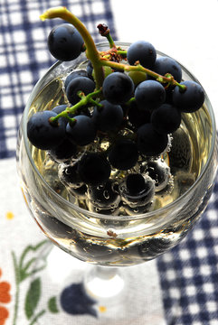 Grappolo d uva con bicchiere di vino