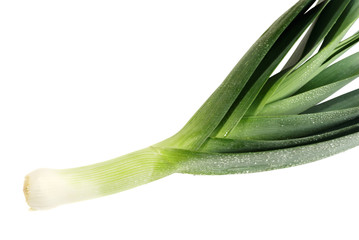 Green leek onion (isolated)
