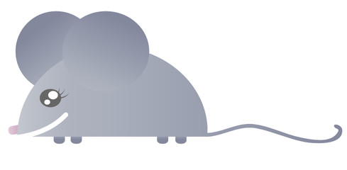 Souris grise