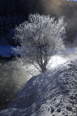 Winterlandschaft bei Celerina