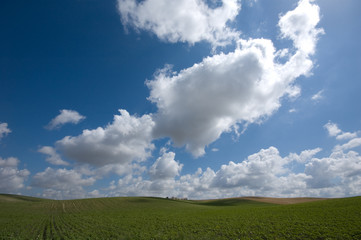 campagne cultivé - Andalousie