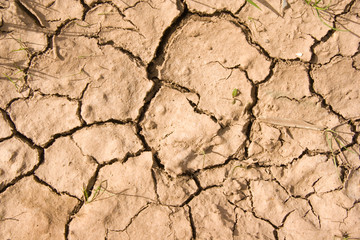 tierra seca