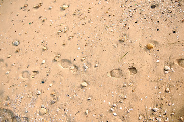trace on sand