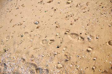 Sand and stones,and trace