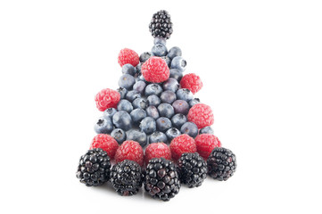 Frutti Di Bosco Fantasia 2