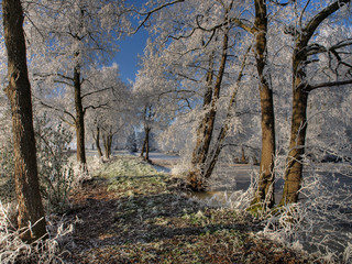 Fototapeta premium A empty trail through a frozen wonderland