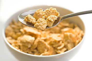 bowl of cereal with raisins