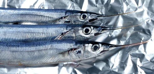 Fototapeta premium three needle fish, uncooked macro studio shot