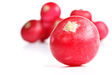Fresh radish