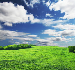 Grassland and clouds