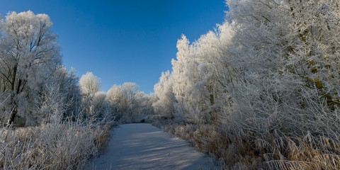 romantic winterlandscape in panorama