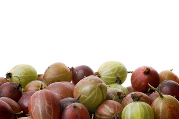 Background with gooseberries