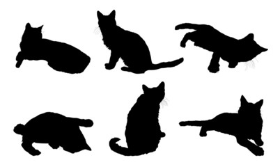 silhouettes of various cats on white