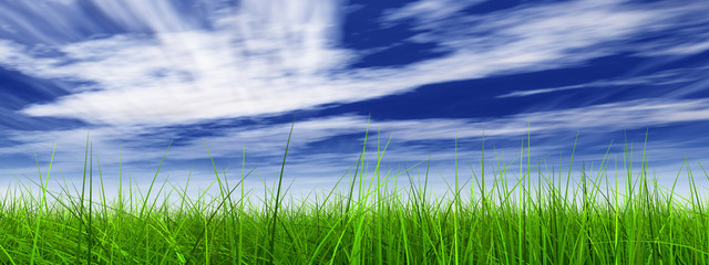 3d grass with perfect details and blue sky and clouds