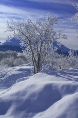 Winterlandschaft in Samedan