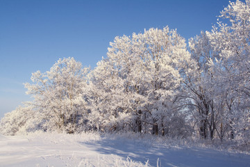 edge of a groove covered with deep snow