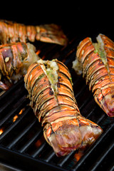 Lobster tails