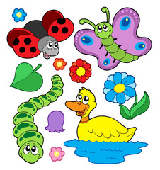 Obraz premium Small animals collection 4