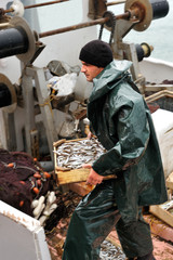 Fisherman carrying box with fish - 11434938