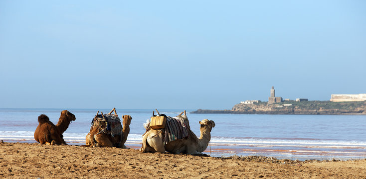 &agrave; trois au bord de l'eau