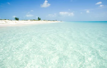 Cercles muraux Caraïbes caribbean beach