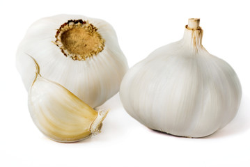Knoblauch Knollen