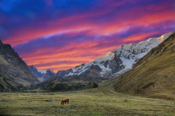 Evening in the Andes